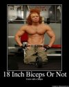 18InchBicepsOrNot.jpg