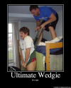 UltimateWedgie.png