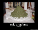 epicdrugbust.png