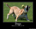 Dogs.png