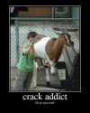 crackaddict.png