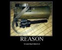 reason.jpg