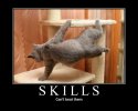 skills.jpg