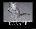 karate.jpg