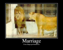 Marriage-1.png