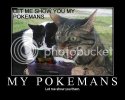 funny_cat_pictures_12.jpg