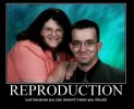repro.jpg