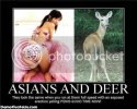 asian-deers-froze-scared-demotivati.jpg