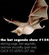 segundo154.jpg