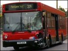 _42848249_bus203.jpg
