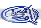 rendered_311_logo.jpg