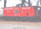 wp467.jpg