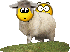 sheep.gif