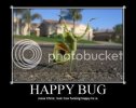 Happy_Bug.jpg