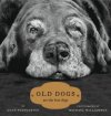 old_dog.jpg
