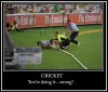 cricket.jpg