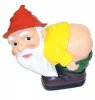 mooning-gnome-fun.jpg