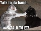 funny-pictures-cat-talk-to-the-hand.jpg funny-pictures-cat-talk-to-the-hand.jpg