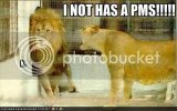 funny-pictures-girl-lion-yells-at-b.jpg