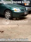 funny-pictures-insurance-fraud-cat-.jpg