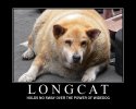 longcat.jpg