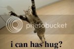 Kitty_hug.jpg