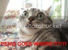 PenisGoes.jpg
