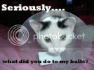 seriously_my_balls.jpg