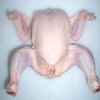 Frozen_Chicken_Dressed_.jpg