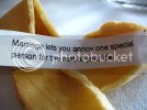 fortune_cookie_5_28_2008.jpg