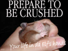 gerbil+crush.png