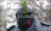 _740524_statue300.jpg