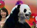 panda_suit.jpg