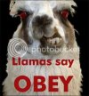 LLAMA.jpg