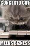 funny-pictures-concerto-cat.jpg