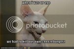 funny-pictures-old-cat-talks-about-.jpg