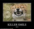 funny-pictures-tiger-has-a-killer-s.jpg