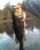 holding bass 11-20.jpg