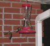 humingbirds 038A.jpg