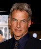 mark-harmon.jpg