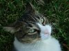 DSC04457.jpg