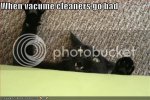 funny-pictures-your-vacuum-cleaner-.jpg
