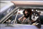 cool_dog_and_chong.jpg