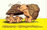 humpday.gif