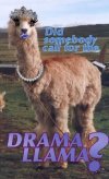 drama20llama2002ao4.jpg