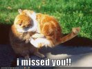 funny-pictures-cat-missed-you1.jpg