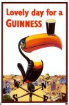 guinness-toucan.jpg