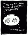 MarijuanaMemory9021fish.gif