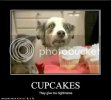 funny-dog-pictures-cupcakes.jpg