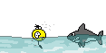th_shark.gif